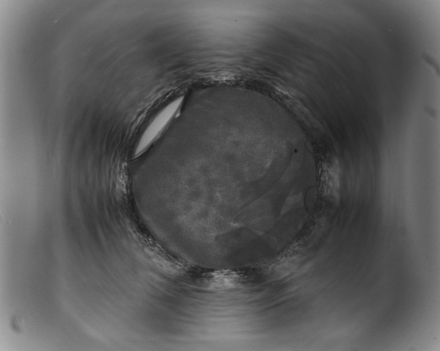 X0000099410612200805231606