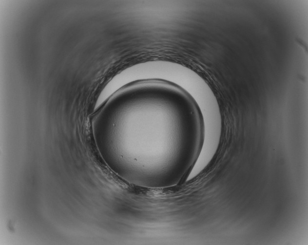 X0000099410613200805231606