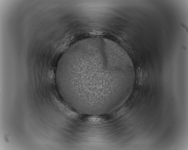 X0000099410614200805231606