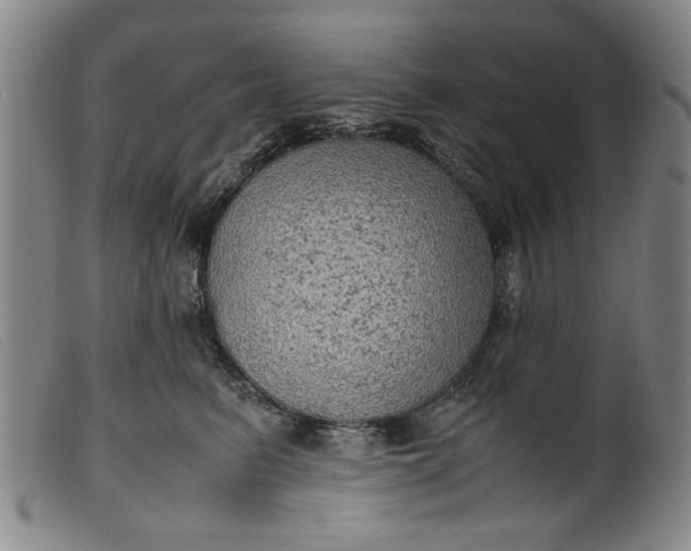 X0000099410615200805231606