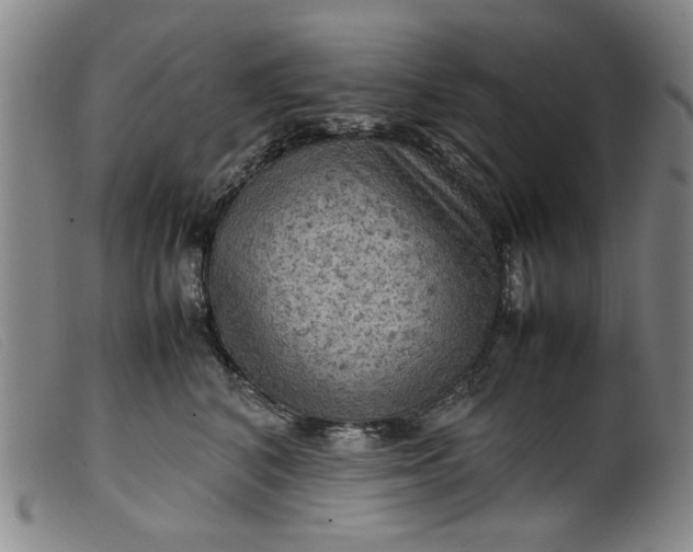 X0000099410616200805231606