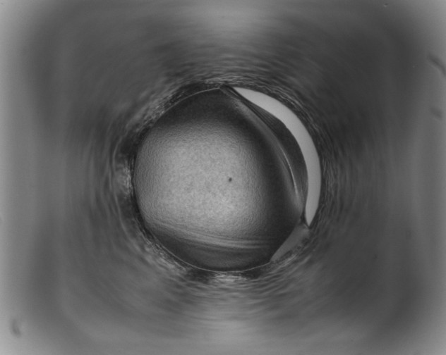 X0000099410617200805231606