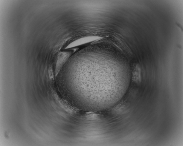 X0000099410620200805231606