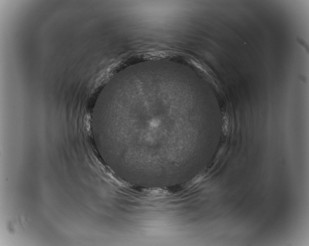 X0000099410621200805231606