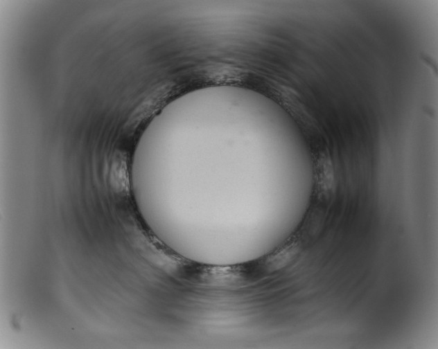 X0000099410622200805231606