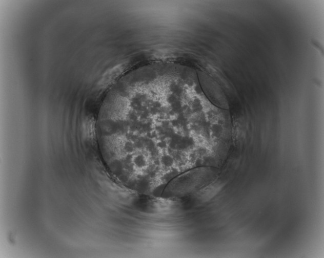 X0000099410623200805231606