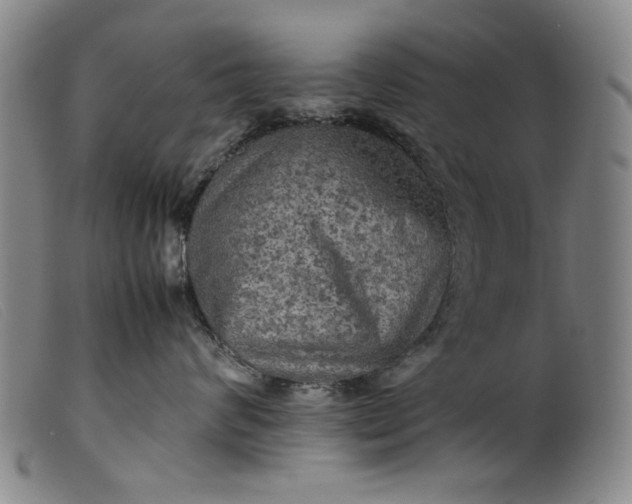 X0000099410624200805231606