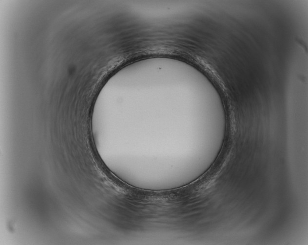 X0000099410625200805231605