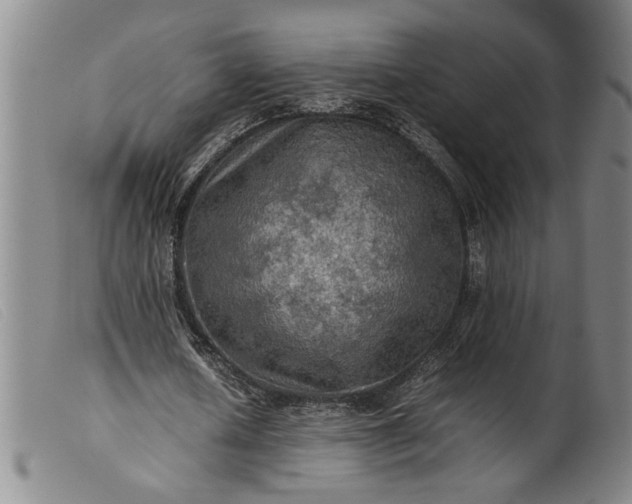 X0000099410626200805231605