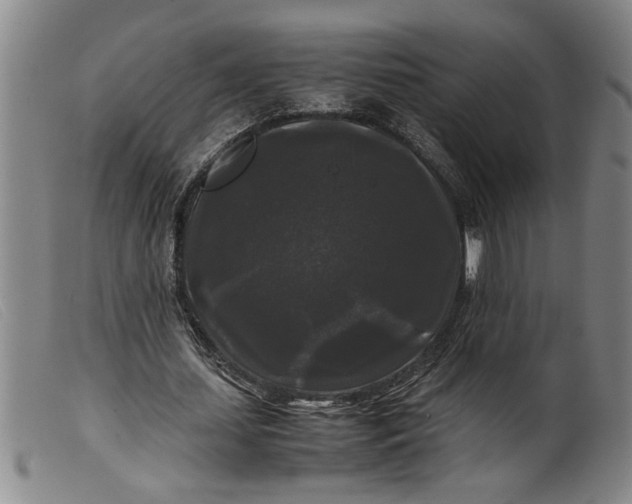 X0000099410627200805231605