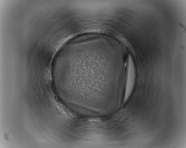 X0000099410628200805231605