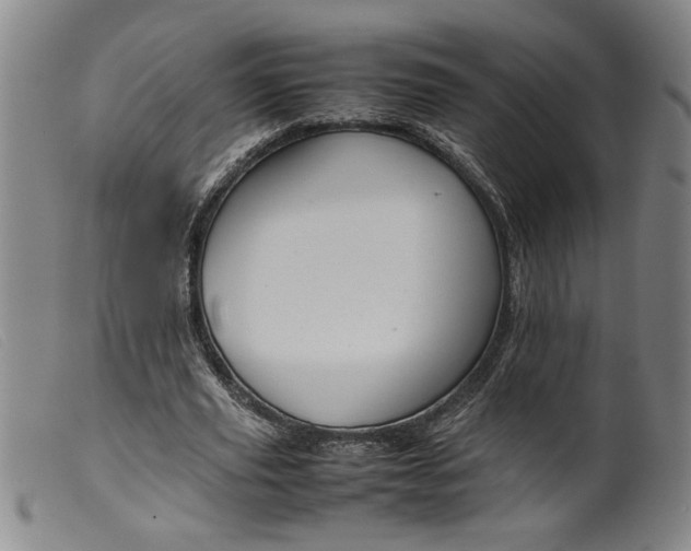 X0000099410629200805231605