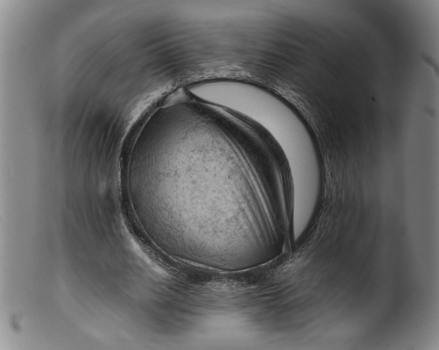 X0000099410630200805231605