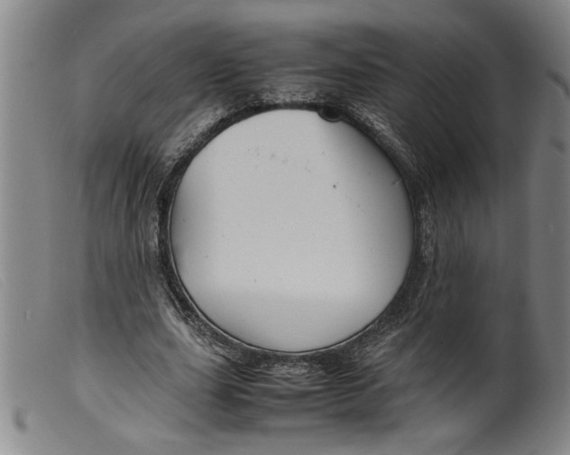 X0000099410631200805231605