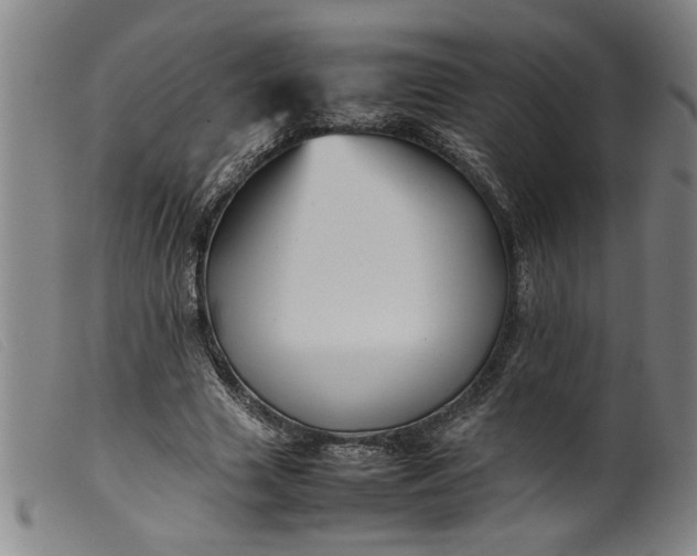 X0000099410633200805231605