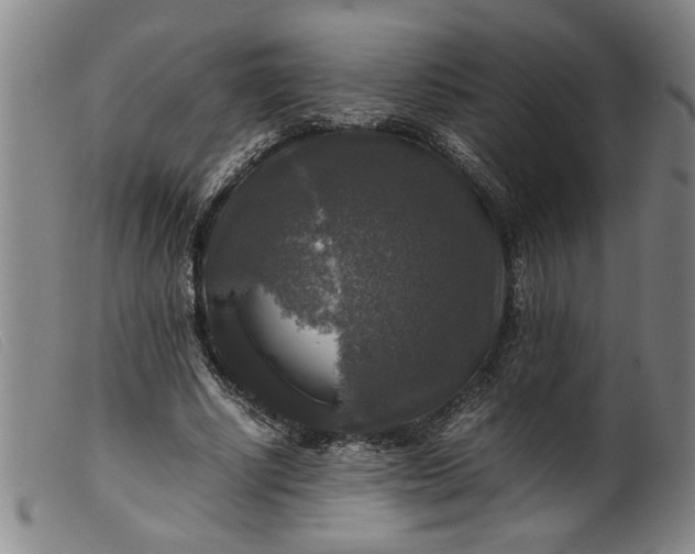 X0000099410634200805231605