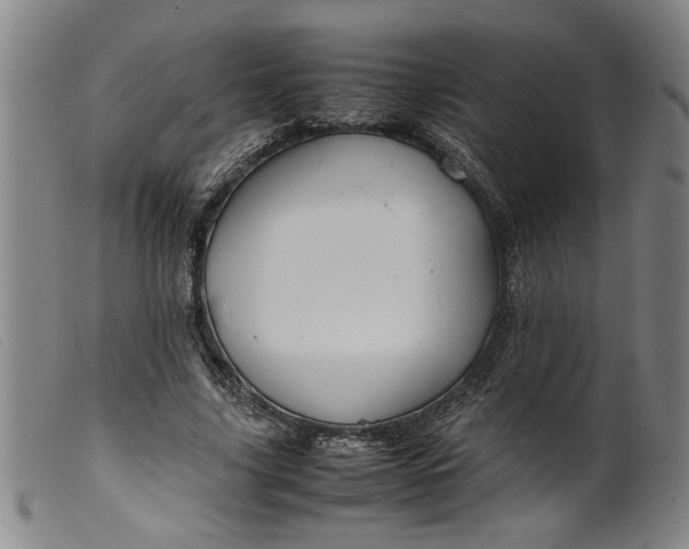 X0000099410635200805231605