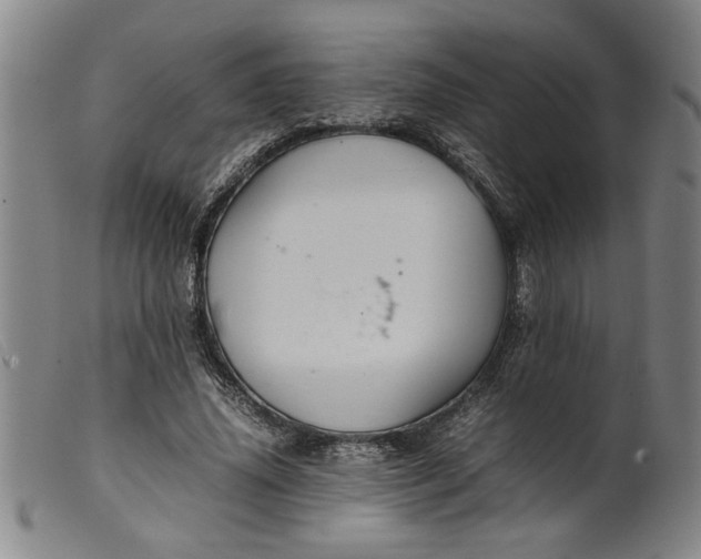 X0000099410636200805231605