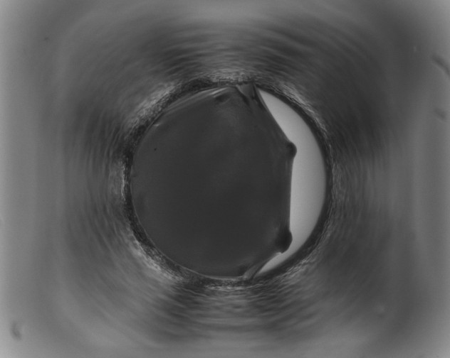 X0000099410637200805231605