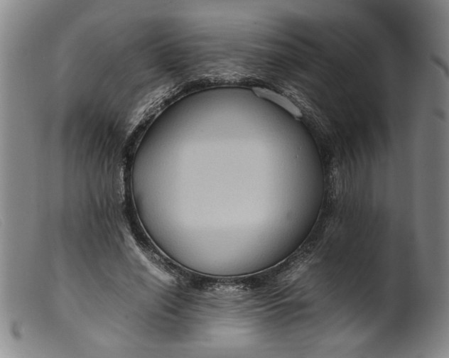 X0000099410638200805231605