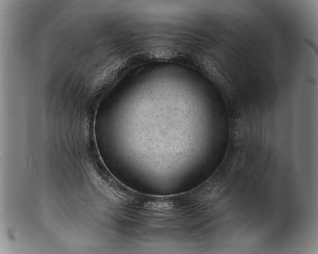 X0000099410639200805231605