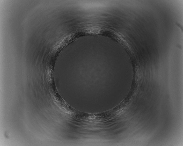 X0000099410641200805231605