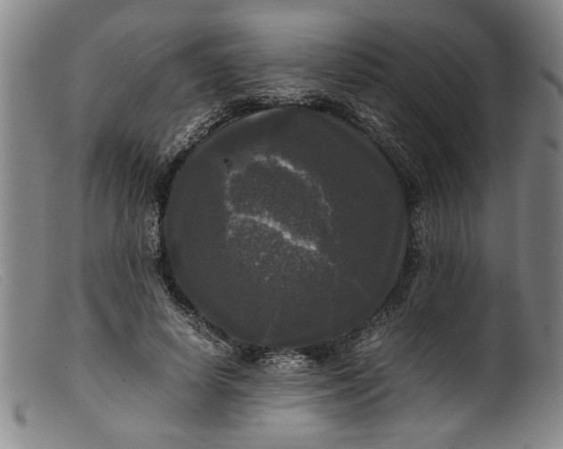 X0000099410642200805231605