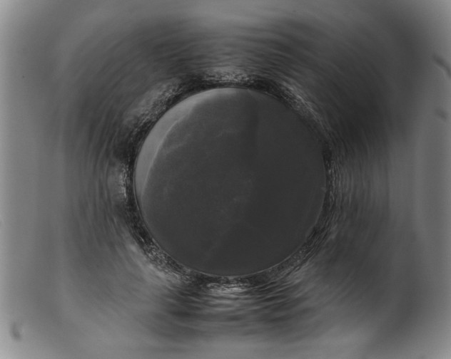 X0000099410643200805231605