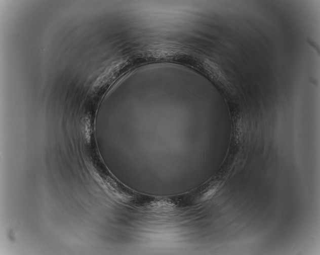 X0000099410644200805231605