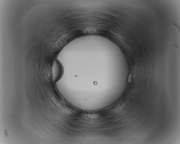 X0000099410645200805231605