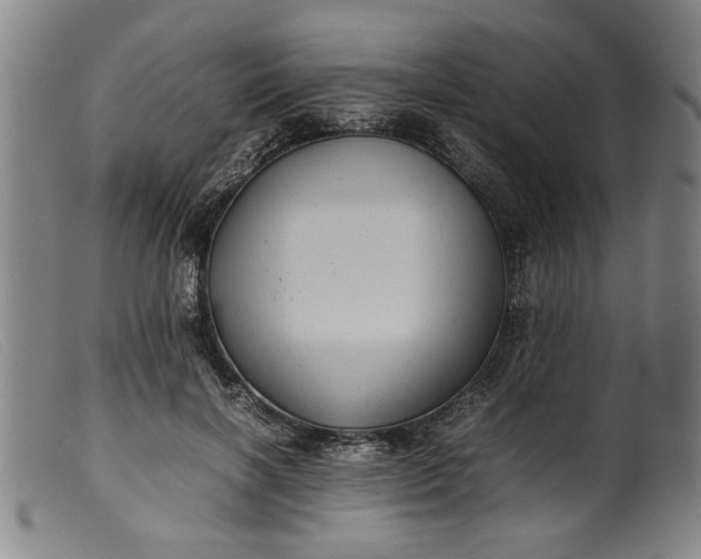 X0000099410646200805231605