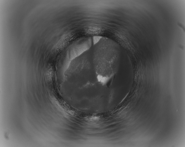 X0000099410647200805231605