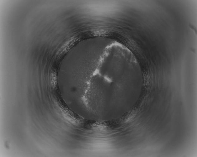 X0000099410648200805231605