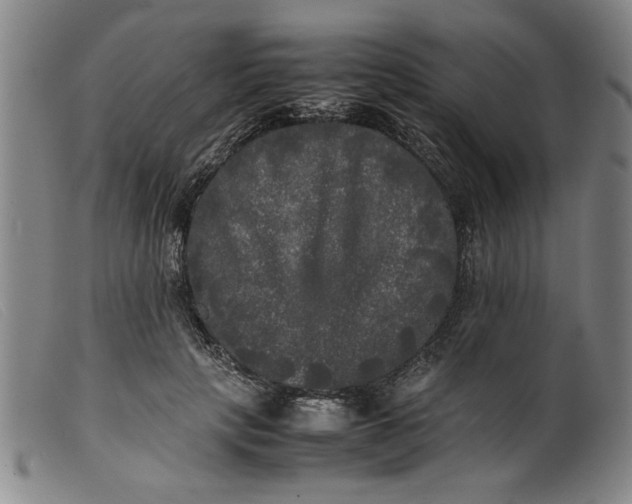 X0000099410649200805231605