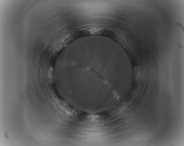 X0000099410650200805231605