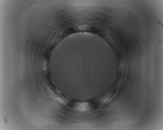 X0000099410651200805231605