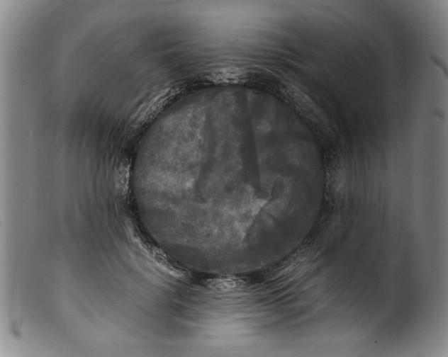 X0000099410652200805231605