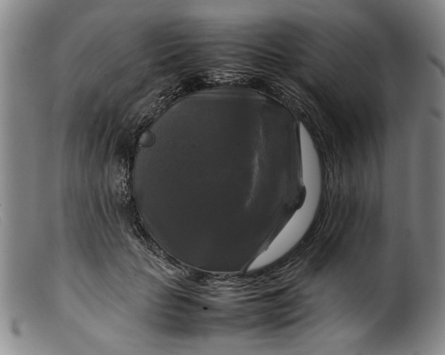 X0000099410653200805231605