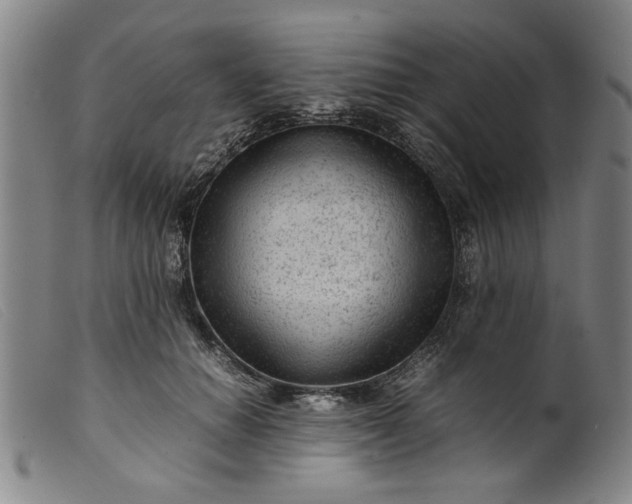 X0000099410654200805231605