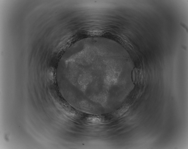 X0000099410655200805231605