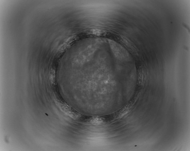 X0000099410656200805231605