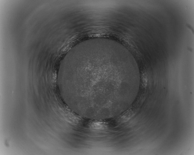 X0000099410657200805231605