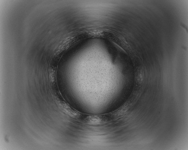 X0000099410658200805231606