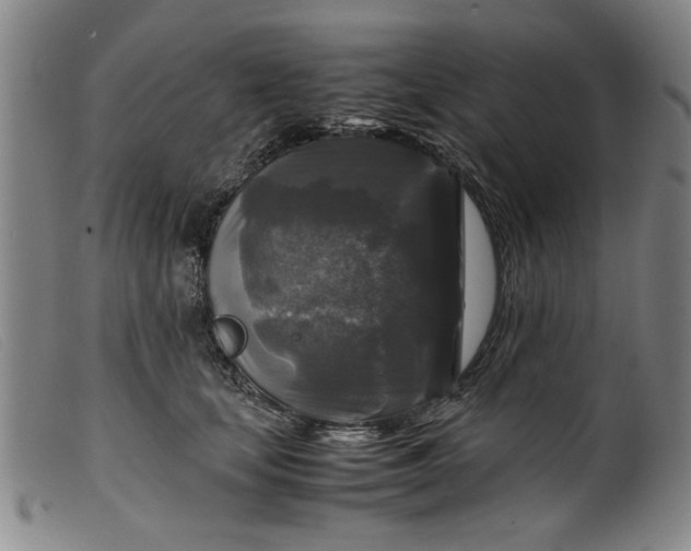 X0000099410659200805231606