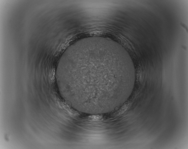 X0000099410660200805231606