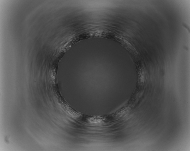 X0000099410661200805231606