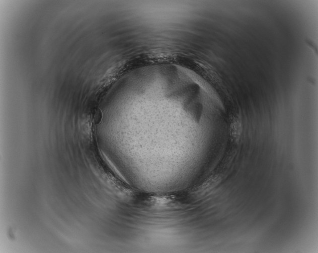 X0000099410662200805231606