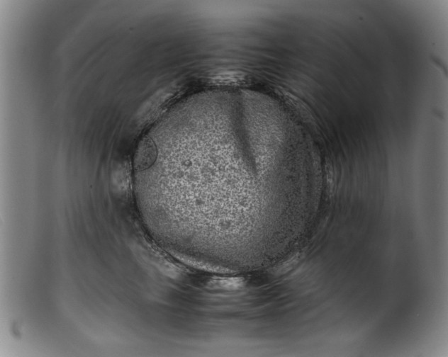 X0000099410665200805231606