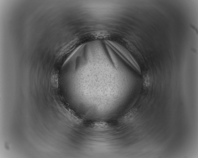 X0000099410666200805231606