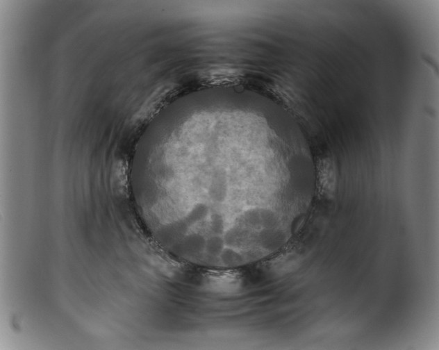 X0000099410667200805231606